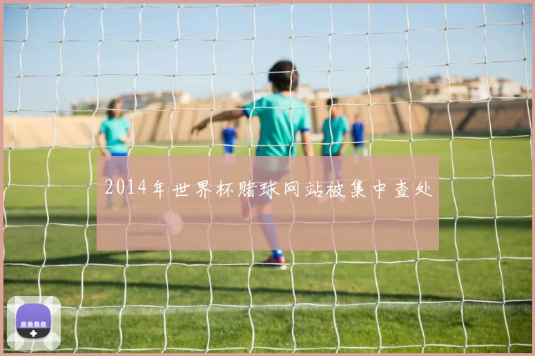 2014年世界杯赌球网站被集中查处